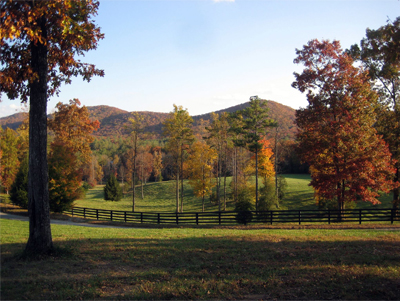 anderson creek featured sites