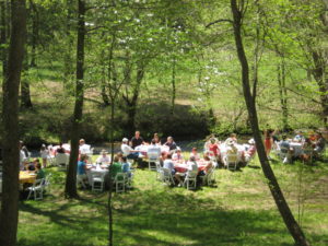 picnic