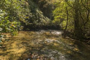 watershed-protection